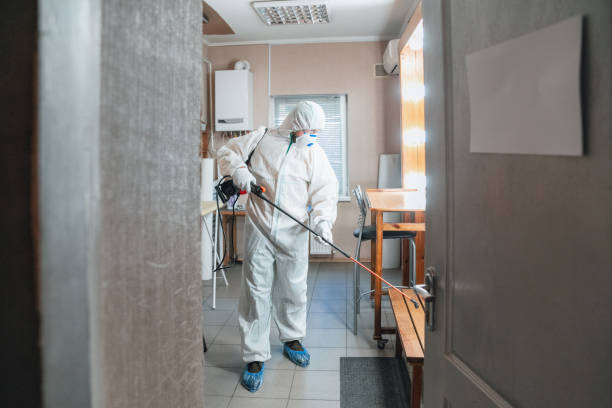 Best Asbestos and Lead Testing During Mold Inspection  in Cattaraugus, NY