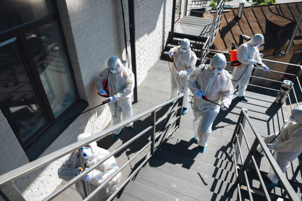 Best Mold Prevention Services  in Cattaraugus, NY