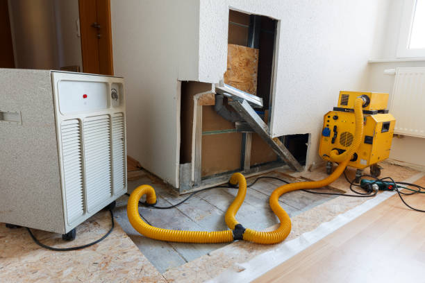 Best Indoor Air Quality Assessment  in Cattaraugus, NY